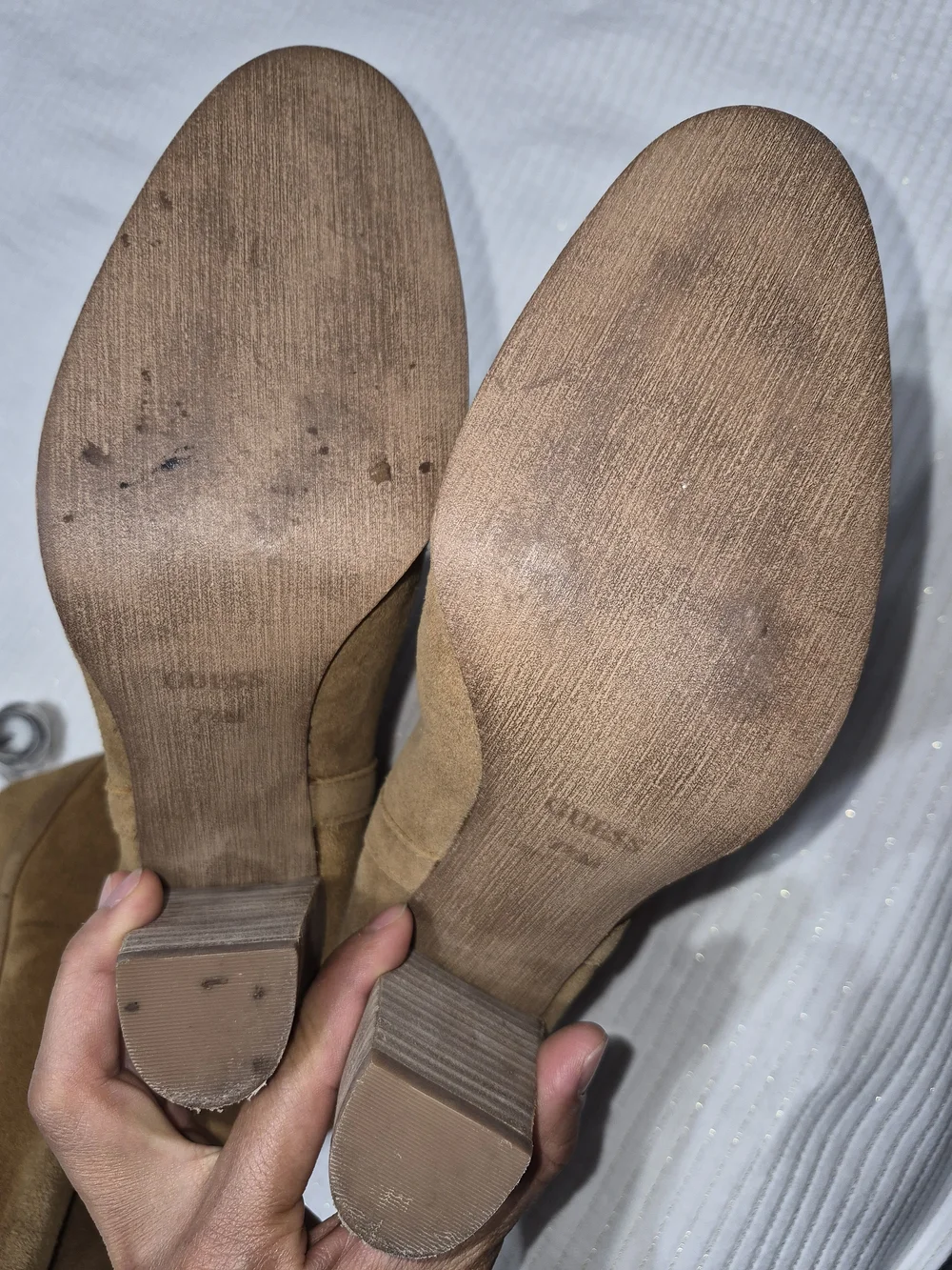 Guess Suede Over-the-Knee Boots in Taupe Brown